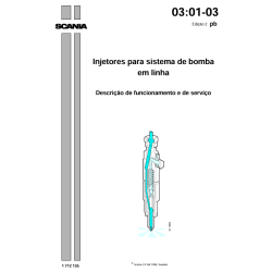 Manual de Serviço Injetores...